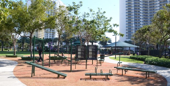 Adult Fitness Equipment installed at Town Center Park