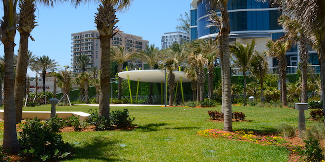 new lawn and trees at Samson Oceanfront Park.