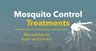 Mosquito Control Treatments Remember to drain and cover