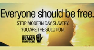 Everyone should be free. Stop Modern Day Slavery. You are the solution. Florida Coalition Against Human Trafficking