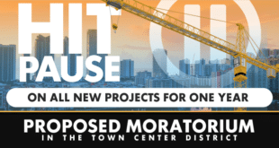 Hit Pause on all new projects for one year. Proposed moratorium