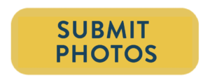 Submit photos