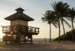 Sun rising over the ocean and birds perched on lifeguard tower next to 4 palm trees.