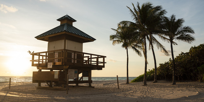 Sun rising over the ocean and birds perched on lifeguard tower next to 4 palm trees.
