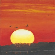 Artwork of sunset with birds