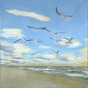 Photo of beach and sky with birds