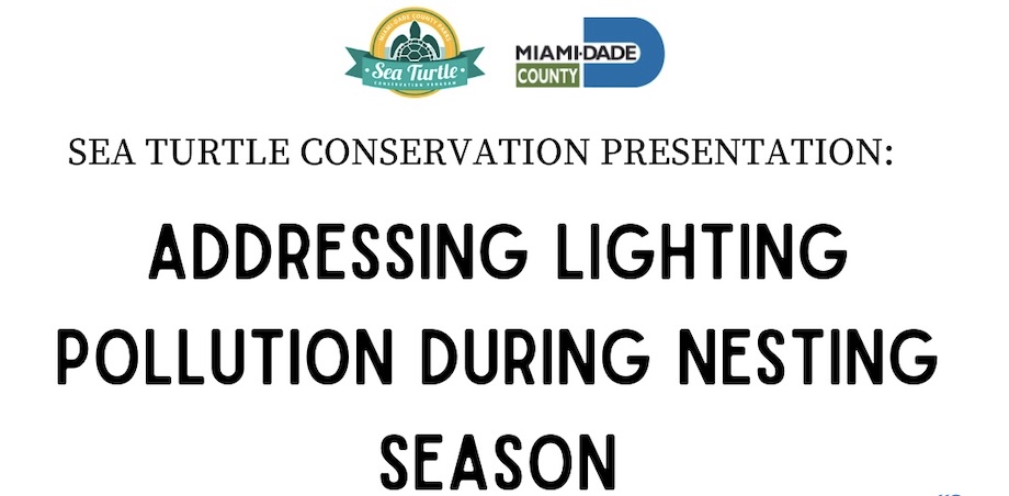 Sea Turtle Conservation Presentation: Addressing Lighting Pollution During Nesting Season