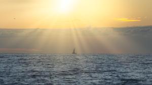 December - Raysa Brito "Sailing Into Sunset"